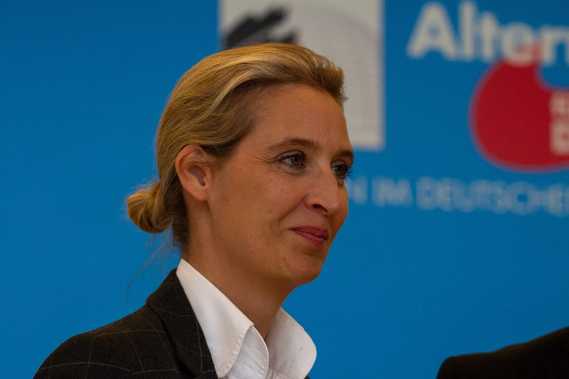 Hört auf, die Erzählung 'Liberale gegen Populisten' zur einzigen Alternative zu machen
