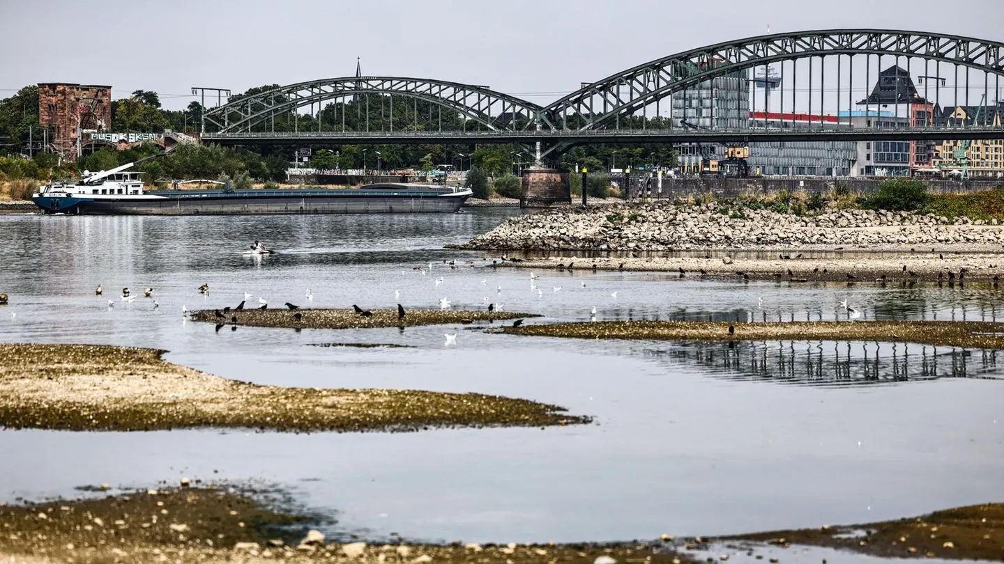 Hitzewelle in Europa: Wie das Niedrigwasser im Rhein Deutschlands Wirtschaft belastet