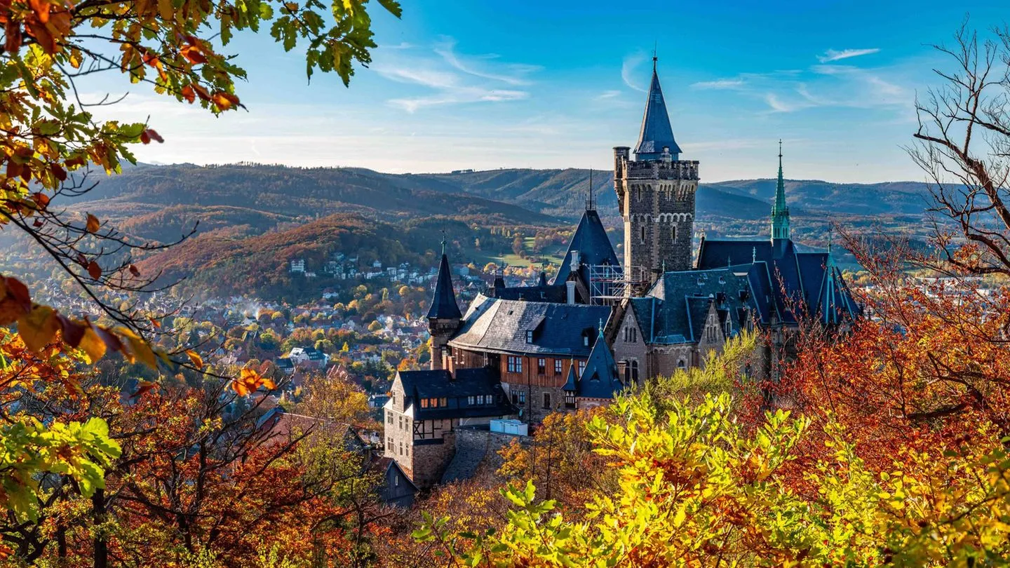 Landtagswahlen: Chemie, Kultur, CDU-Kernland — Das sollten Sie über Sachsen-Anhalt wissen
