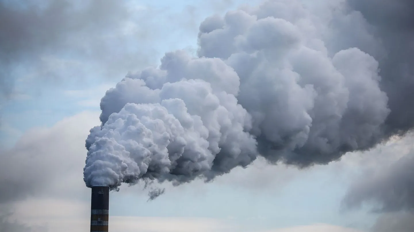 Klimaschutz und Wirtschaft: Ifo-Umfrage zeigt: Firmen zögern bei Klima-Investitionen