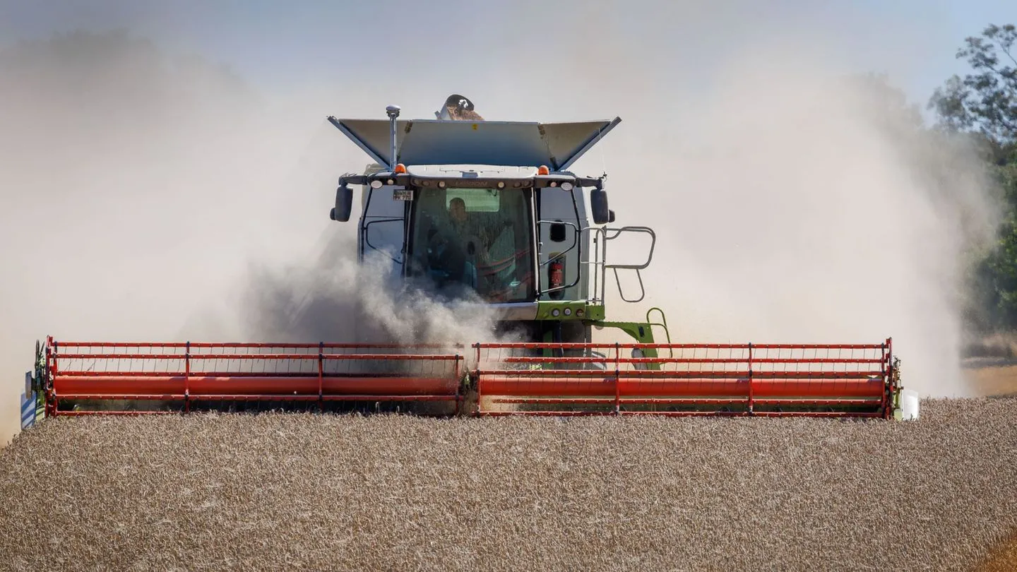 Landwirtschaft: Bauernverband warnt — Ernte deutlich kleiner, Politik reagiert zu zaghaft