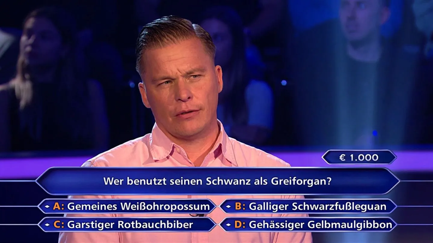 „Wer wird Millionär?“: Kandidat riskiert alles – scheitert in wenigen Minuten