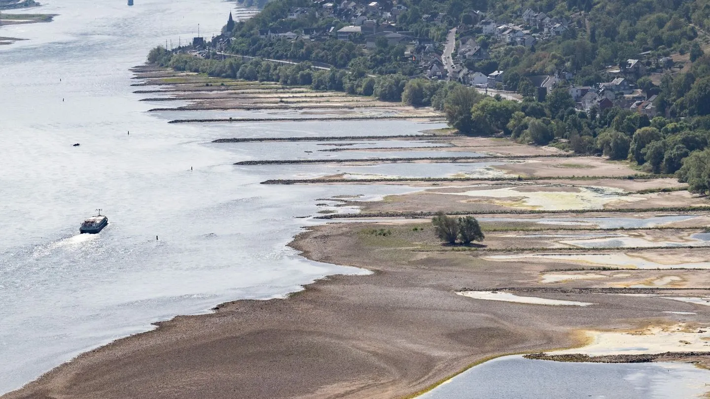 Transportprobleme durch Niedrigwasser: Ökonomin Grimm sieht Preissteigerungen kommen