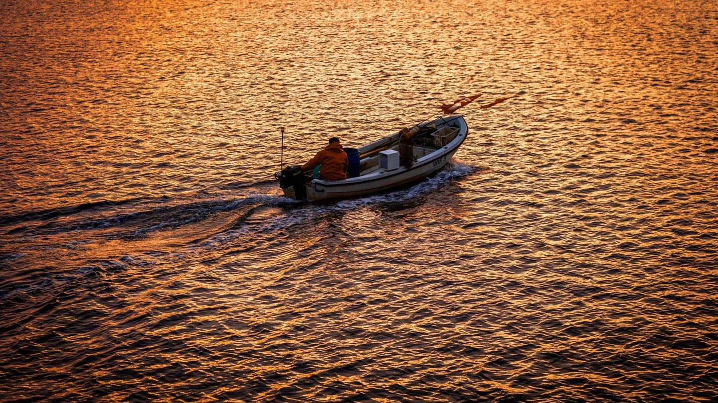 Fisch: Keine neuen Einschränkungen für Ostseefischer